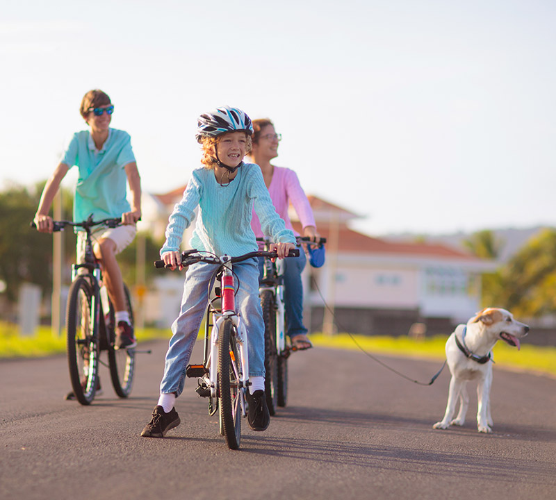 Family On Bicycle Ride in Florida